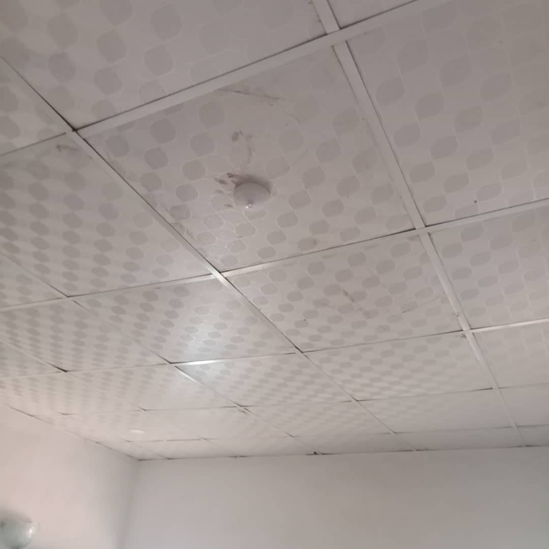 Suspended Ceiling